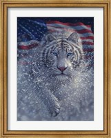 Framed White Tiger America