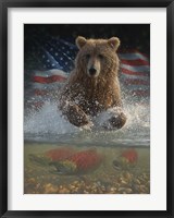 Framed Brown Bear Fishing America