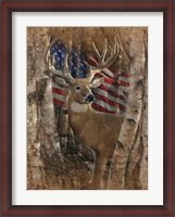 Framed Whitetail Buck America