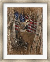 Framed Whitetail Buck America