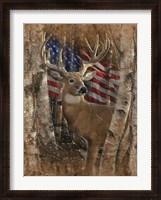 Framed Whitetail Buck America