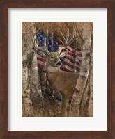 Framed Whitetail Buck America
