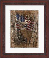 Framed Whitetail Buck America