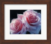 Framed Roses - Pink Pair