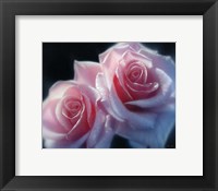 Framed Roses - Pink Pair