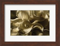 Framed Golden Lilies