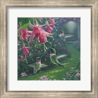 Framed Hummingbird Haven - Square
