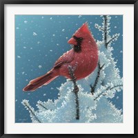 Framed Cardinal - Cherry on Top