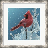 Framed Cardinal - Cherry on Top