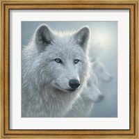 Framed Arctic Wolves - Whiteout