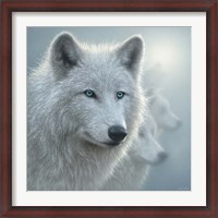 Framed Arctic Wolves - Whiteout