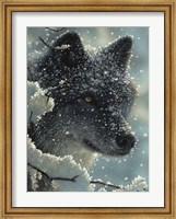 Framed Black Wolf - Black in White
