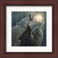 Framed Howling Wolves - In Harmony