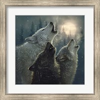 Framed Howling Wolves - In Harmony