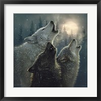 Framed Howling Wolves - In Harmony