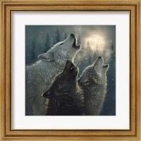 Framed Howling Wolves - In Harmony