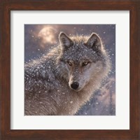 Framed Lone Wolf - Square