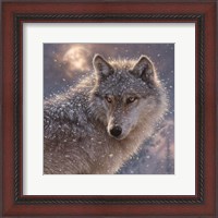 Framed Lone Wolf - Square