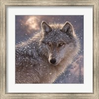 Framed Lone Wolf - Square
