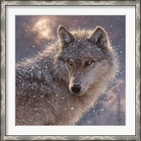 Framed Lone Wolf - Square