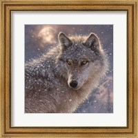 Framed Lone Wolf - Square