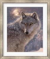 Framed Lone Wolf