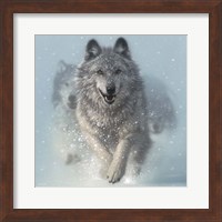 Framed Running Wolves - Snow Plow - Square