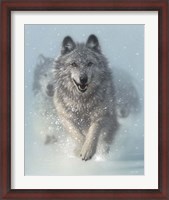 Framed Running Wolves - Snow Plow