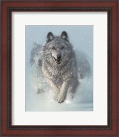 Framed Running Wolves - Snow Plow