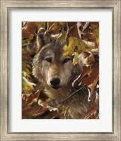 Framed Wolf - Autumn Shadows