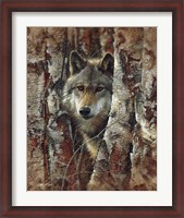 Framed Wolf - Woodland Spirit