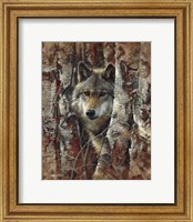 Framed Wolf - Woodland Spirit