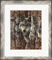 Framed Wolf - Woodland Spirit
