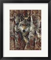 Framed Wolf - Woodland Spirit