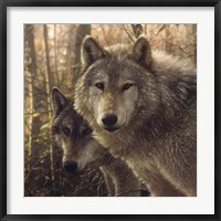 Framed Wolves - Woodland Companions