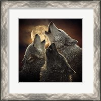 Framed Wolf Trinity