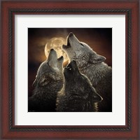 Framed Wolf Trinity