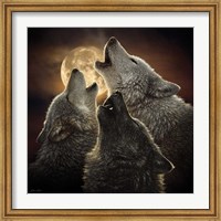 Framed Wolf Trinity