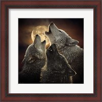 Framed Wolf Trinity