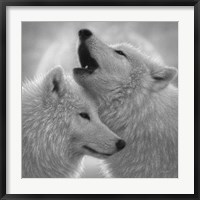 Framed Wolves - Love Song - B&W