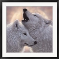 Framed Wolves - Love Song