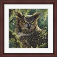 Framed Great Horned Owl - Watching and Waiting