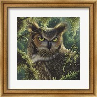 Framed Great Horned Owl - Watching and Waiting