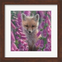 Framed Red Fox - Foxgloves - Square