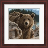 Framed Brown Bears - Backpacking - Square