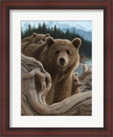 Framed Brown Bears - Backpacking