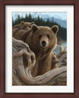Framed Brown Bears - Backpacking