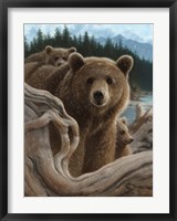 Framed Brown Bears - Backpacking