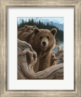 Framed Brown Bears - Backpacking