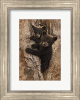 Framed Curious Cubs